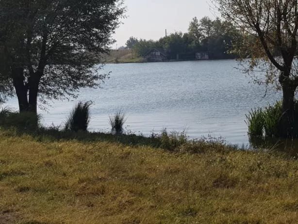 Vidra, Ilfov,